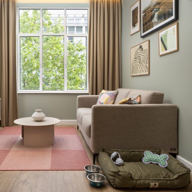 Looking to stay a while? Don't worry, your furry friends can stay too in our pet-friendly suites.
-

#londondiraies #londonescapes #londonhotel
#coventgarden #londonwestend #westendshows
#westendhotel #luxurysuites #newhotel #holborn
#kingsway #opening #hotel #luxurylondon #londonhotel
#london #londonhotels #visitlondon #hotellife
#londonlife #londonist #centrallondon #holbornhotel
#discoverlondon #outinlondon #LincolnLuxury
#HolbornRetreat #petfriendly